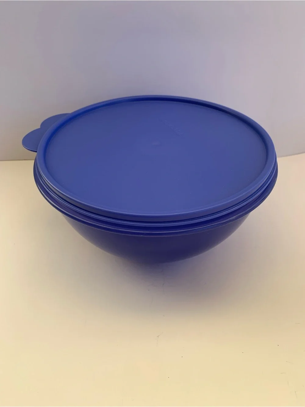 Navy  Plastic Storage Bowl with Lid  2L 8 3/4 Cups